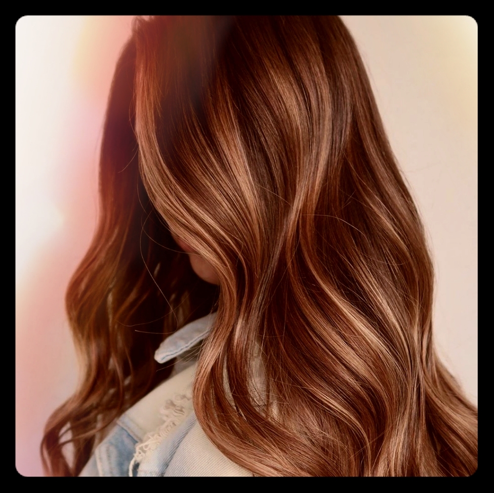 Meet your Posher, Jessie